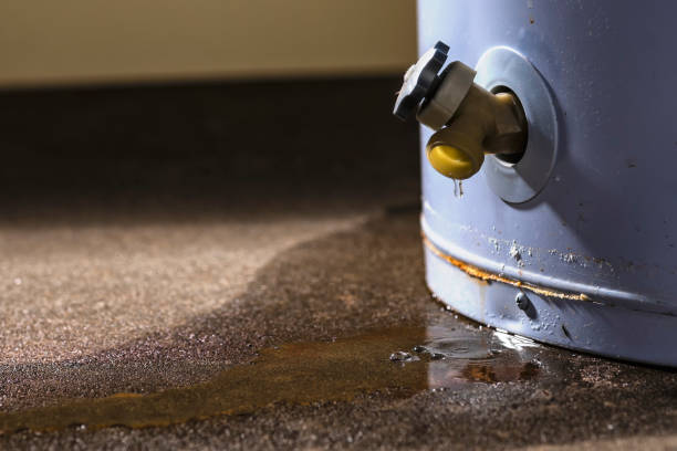 Best Sewage cleanup and water damage restoration  in Whitefish, MT