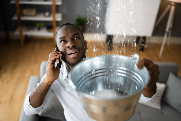Best Emergency water damage restoration  in Whitefish, MT
