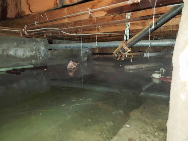 Best Water damage restoration process  in Whitefish, MT