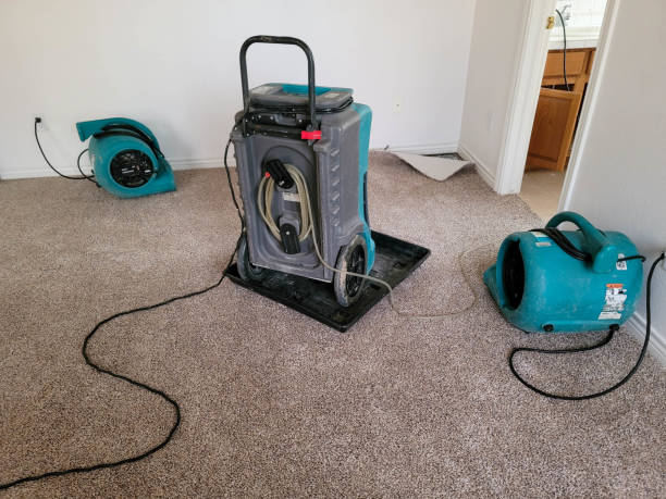 Best 24-hour water damage restoration  in Whitefish, MT