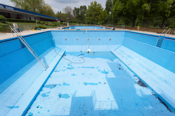 Best Water damage restoration near me  in Whitefish, MT