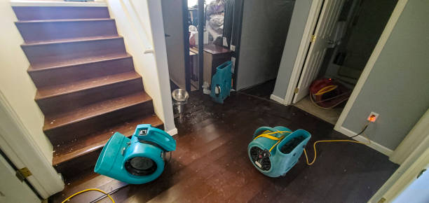Best Carpet water damage restoration  in Whitefish, MT