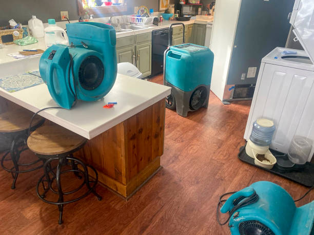 Best Water damage cleanup near me  in Whitefish, MT