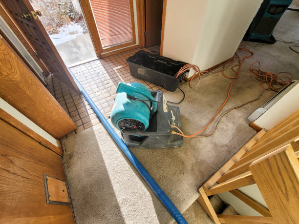 Best Basement water damage restoration  in Whitefish, MT