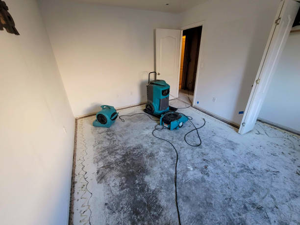 Local water damage restoration in MT