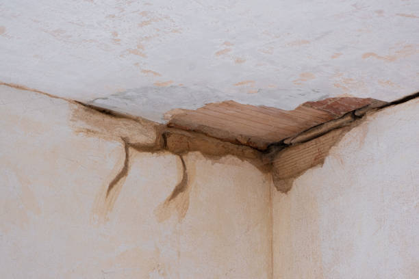 Best Flood restoration services  in Whitefish, MT