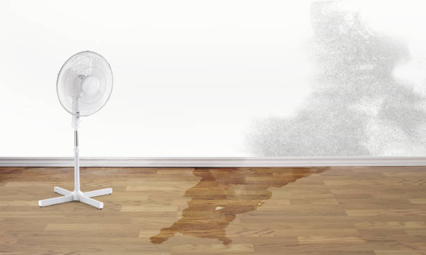 Trusted MT Water damage restoration Experts
