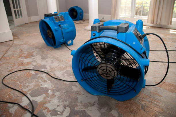 Best Water damage contractors near me  in Whitefish, MT