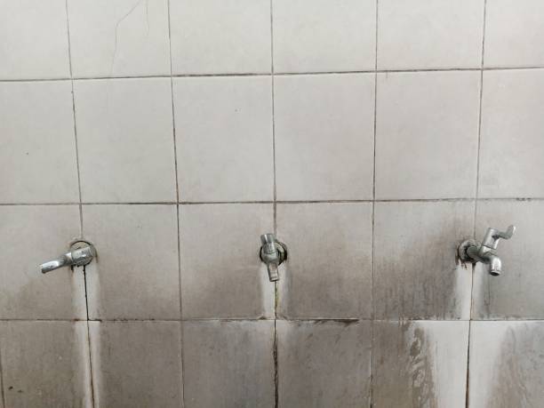 Best Mold removal after water damage  in Whitefish, MT