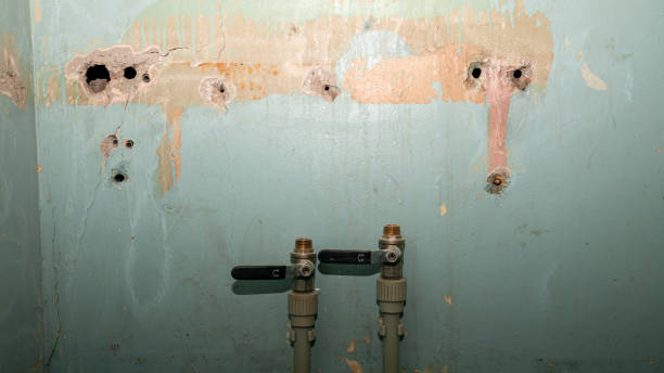 Best Professional water damage repair  in Whitefish, MT