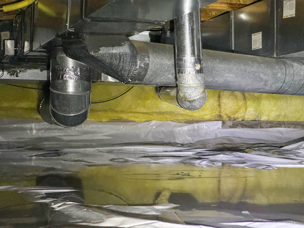 Best Commercial water damage restoration  in Whitefish, MT