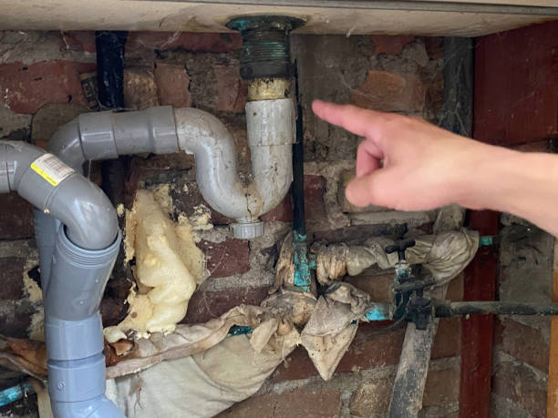 Best Water damage restoration cost  in Whitefish, MT