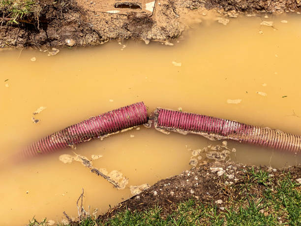 Best Flood damage cleanup  in Whitefish, MT